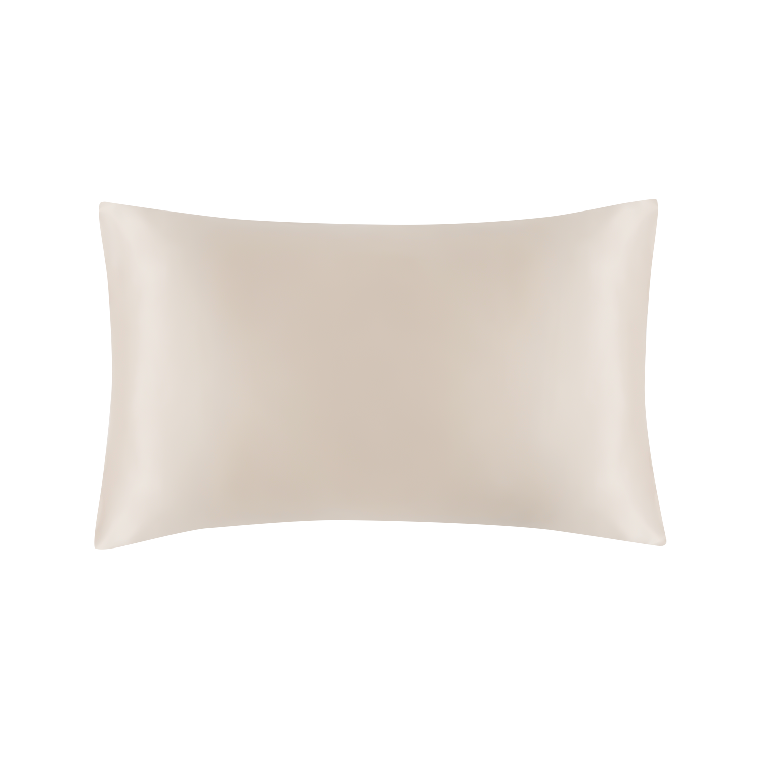 Silk Restoration Pillowcase（Latte）